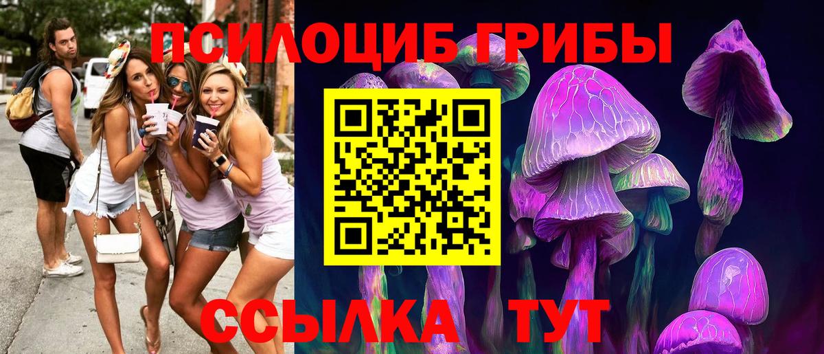 Галлюциногенные грибы ЛСД Волхов