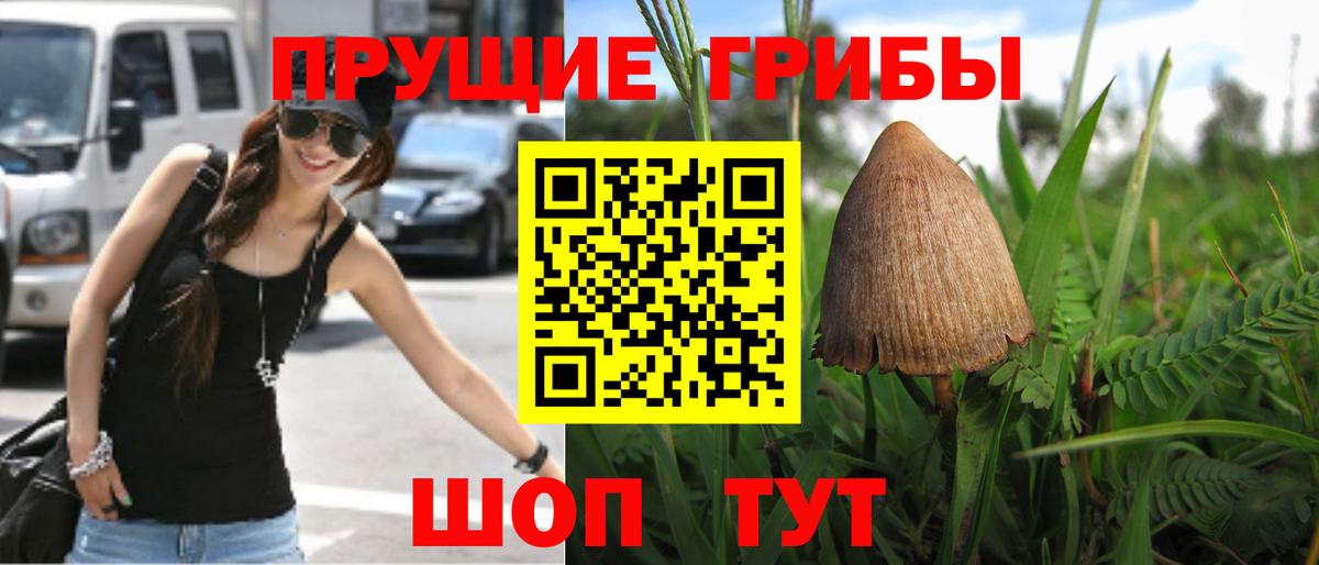 Псилоцибиновые грибы мицелий  Вход с VPN  купить закладку  Волхов 